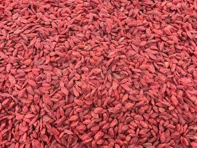 Juniper Berry, an ingredient in GlycoAid